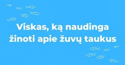 Žuvų taukai: viskas, ką naudinga žinoti
