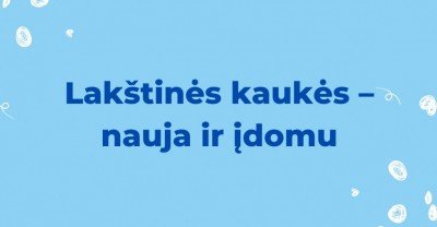 Lakštinės kaukės – įdomu ir nauja