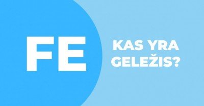 Kas yra geležis bei kuo ji svarbi mūsų organizmui?