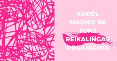 Kodėl magnis B6 toks svarbus organizmui? 